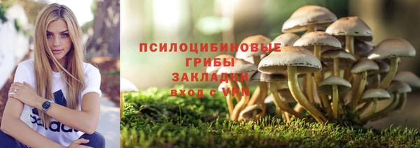 мет Лагань