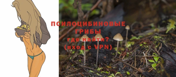 кокаин Ладушкин