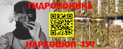 прущие грибы Аргун