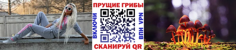 Псилоцибиновые грибы Cubensis  Мелеуз 
