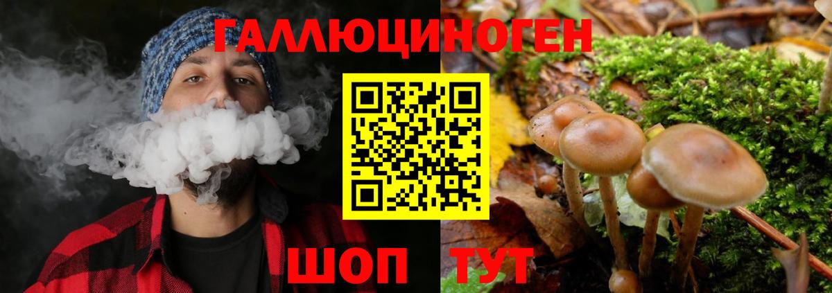 Галлюциногенные грибы Cubensis Мелеуз